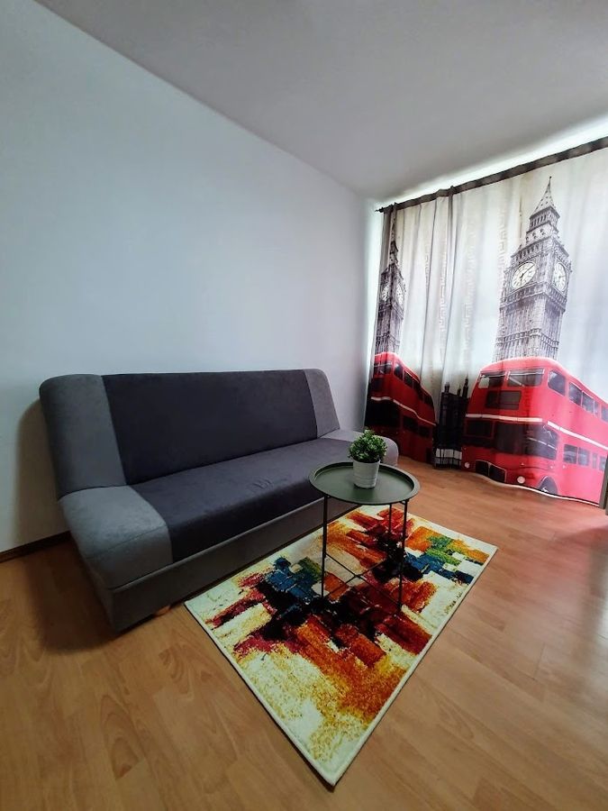 AP. 2 CAMERE DRUMUL TABEREI, MOBILAT/UTILAT, RENOVAT, COMISION 0% - Poză 2