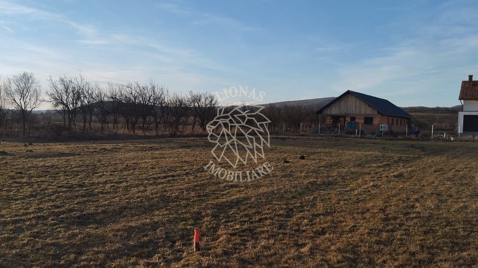 Teren 3500 mp-livada-Rusu Bargaului 13km de Bistrita - Poză 3