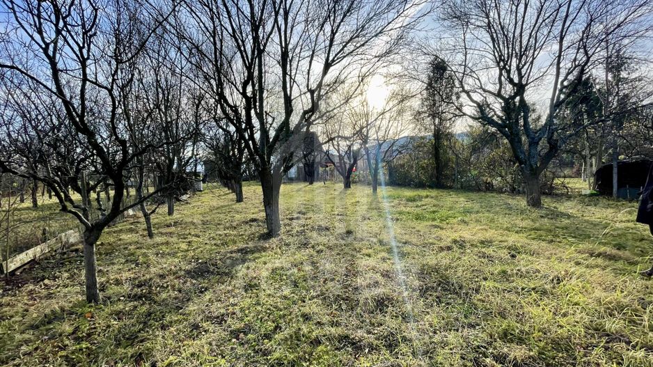 Teren intravilan 1.915 mp + cabană din lemn | Tocile – Sadu - Poză 1