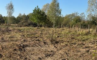 TEREN INTRAVILAN, CAMPULUNG,  2691 MP - Poză 19