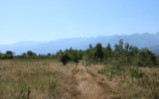 TEREN 4500 MP I PARC FOTOVOLTAIC I ARPASUL DE SUS - Poză 2