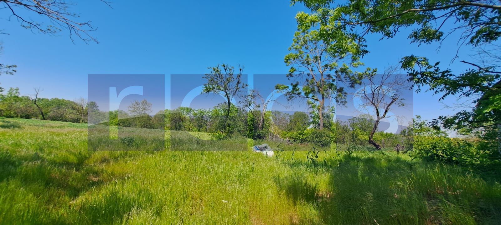 CASA TARANEASCA | TEREN 3000 MP | DESCHIDERE 52 M | COMUNA CIOLANESTI - Poză 3