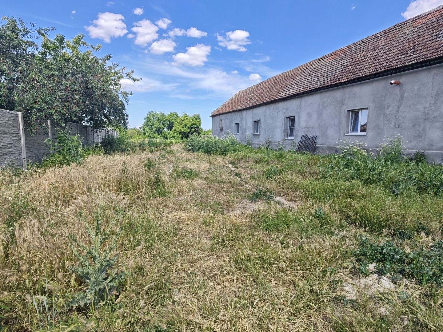 Teren Intravilan Dudestii Noi,Zona Semicentrala,1740 mp,Fs. 14m - Poză 2