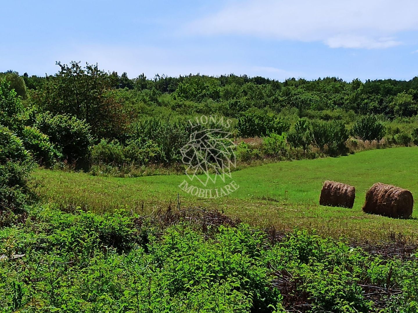 Parcele teren 4038 mp - Parcelabil - Zona Valea Stanelor - Poză 5