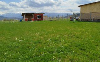 Grădină 862 mp cu cabanuta și pomi fructiferi – între Tălmaciu și Sadu - Poză 1