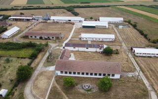 Proprietate industriala la 30 km exterior sud Timisoara - Poză 6