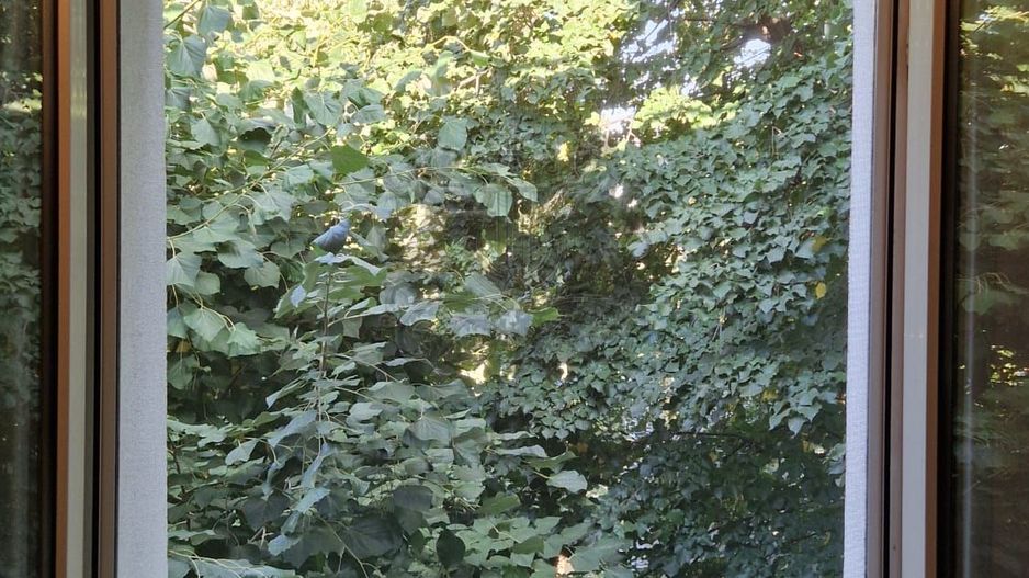 Calea Floreasca Nr 136 | VAV One Floreasca | 2 Camere | 49 Mp | Boxa - Poză 5