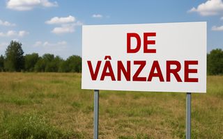 Teren Intravilan | 7.000 MP | Lângă DN1, Sibiu – Brașov - Poză 1