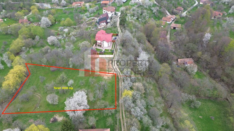 TEREN PREMIUM ÎN BRAN – SOHODOL | 3000 MP CU PANORAMĂ EXCEPȚIONALĂ - Poză 2