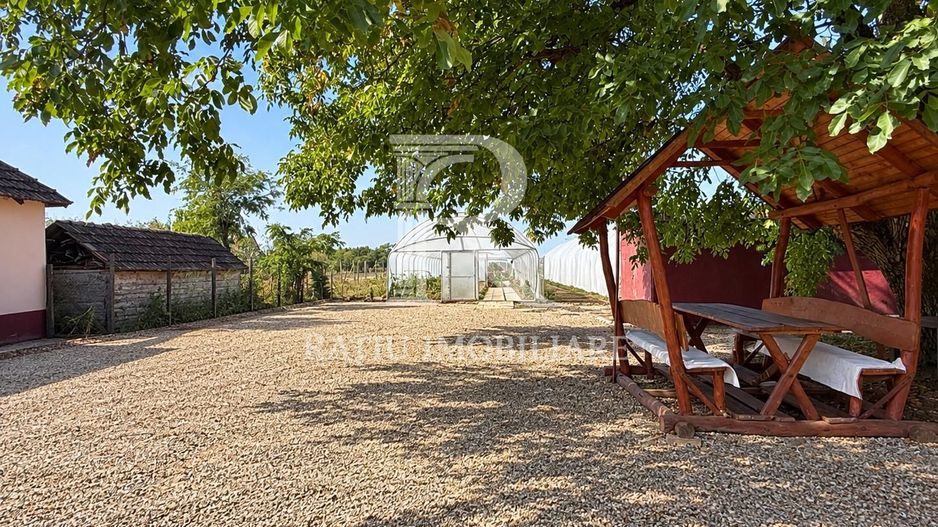 Teren intravilan agricol | 7029 mp | Satu Nou | Bihor - Poză 1