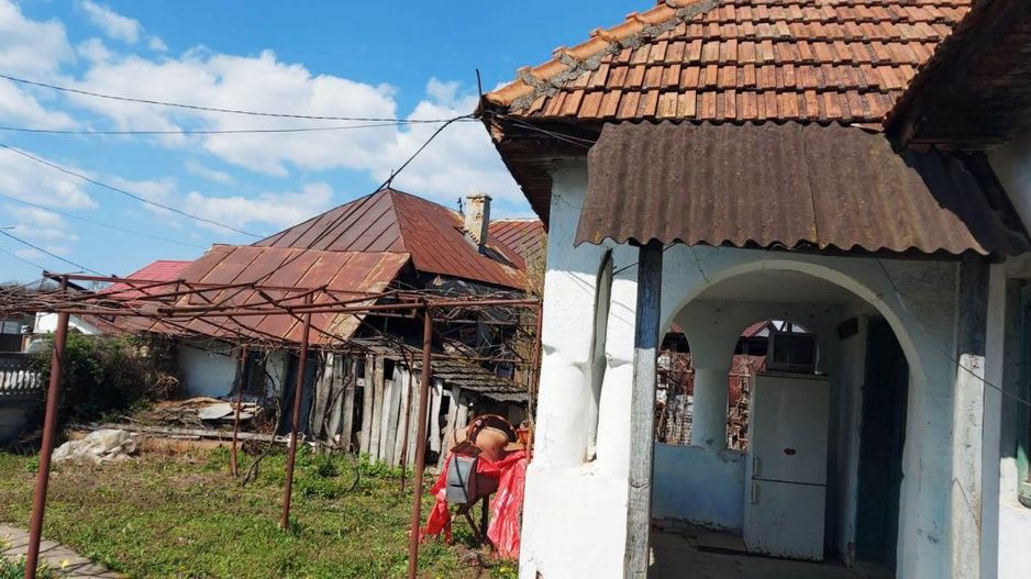 Casă cu hală industrială Drăguțești - Poză 3