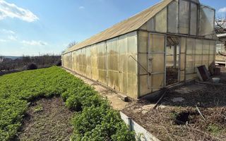 Teren de vânzare cu seră și vie în com. Belcești, jud. Iași - Poză 2