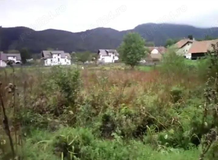 Teren Predelut, Bran - Poză 4