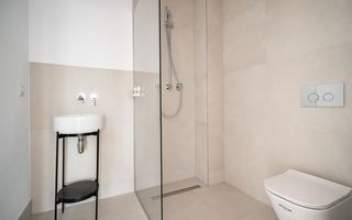 Apartament de 3 camere cu gradina - Poză 8