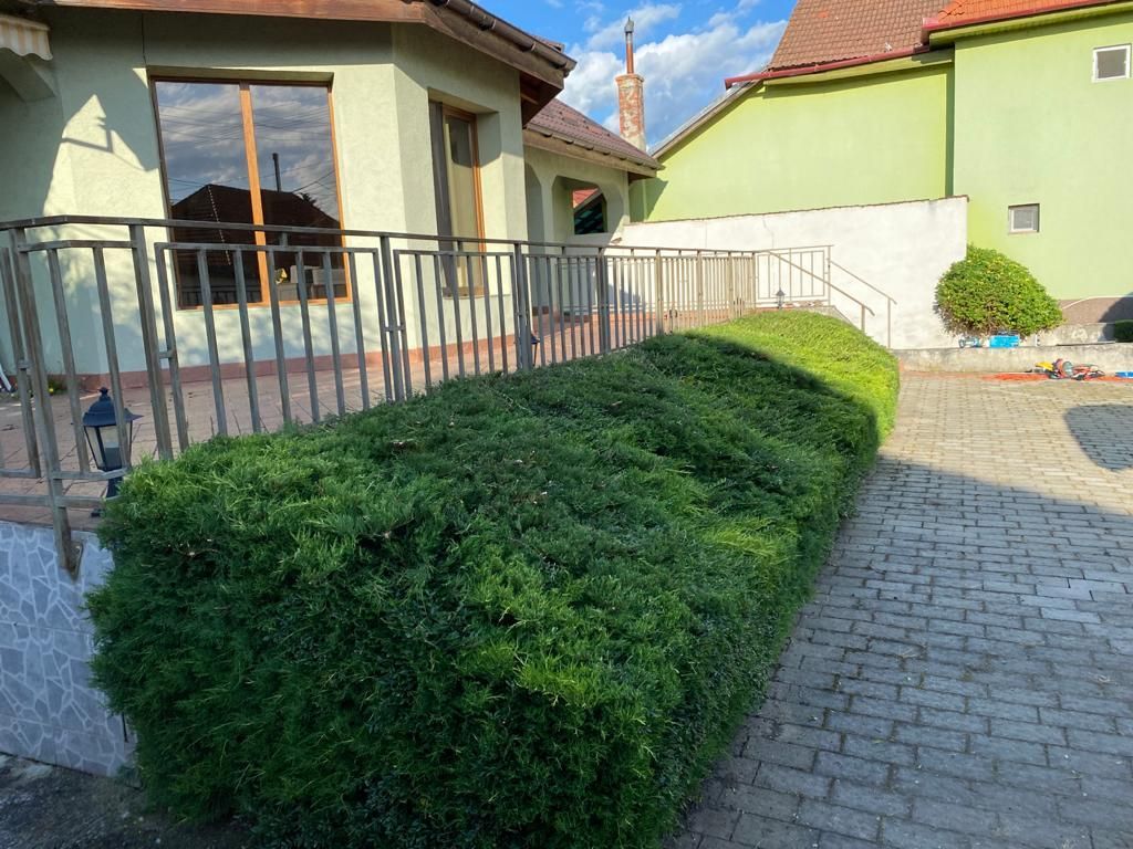 Casa individuala intima cu teren mare in Avrig, Sibiu - Poză 2