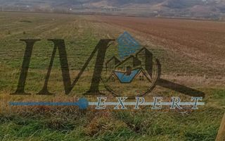 Teren intravilan de vânzare in Vintu de Jos - Poză 3