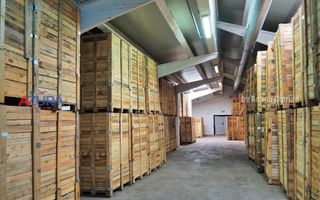 COMISION 0% - HALE Calinesti Arges - Poză 55