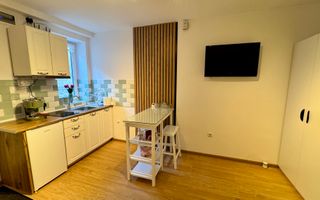 Apartament cu 2 camere la casa in Blumana, str De Mijloc - Poză 14