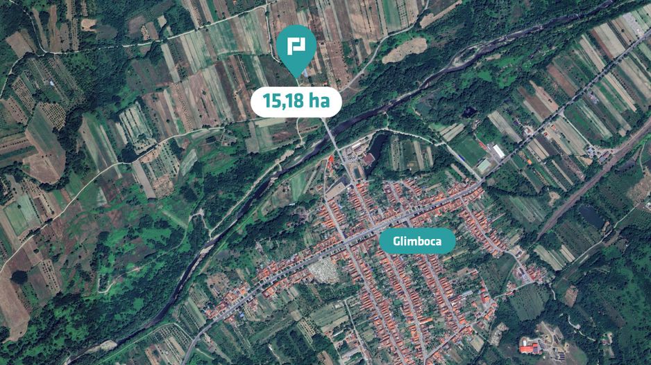 Teren extravilan agricol de 20 ha lângă Caransebes - Poză 1