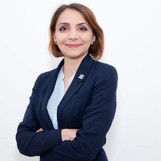 Valentina Radulescu - Zoom City