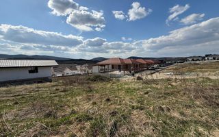 Teren Intravilan 6 ari Drumul Sigmirului - Cu Proiect de casa - Poză 2