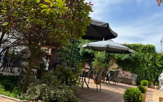 Vila de vanzare in zona Centrala/Orasul de jos - Poză 52