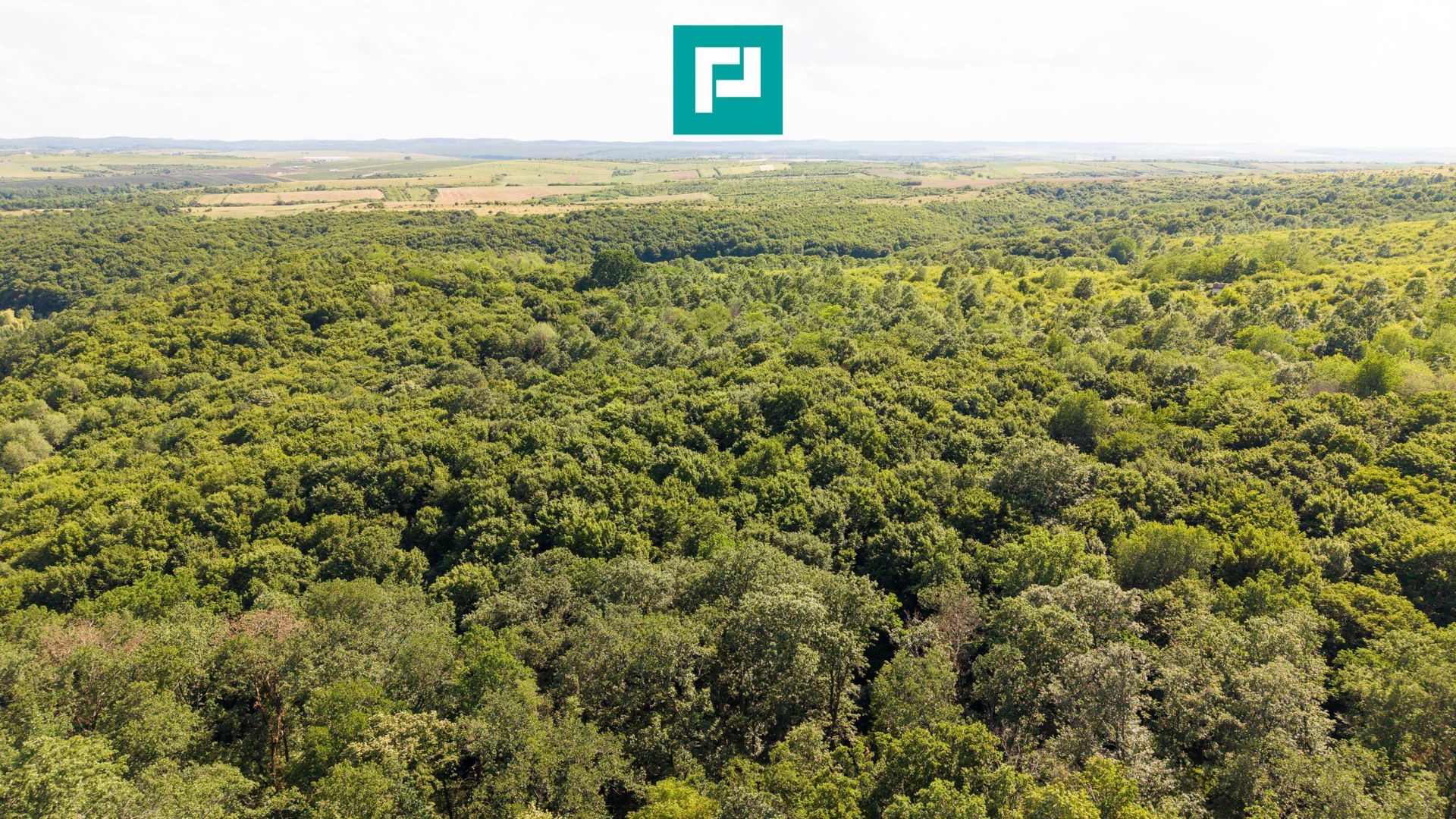 TEREN AGRICOL EXTRAVILAN  22.900 MP LIPOVA - Poză 5