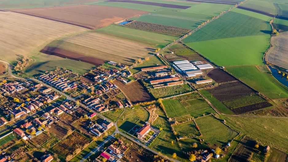 Teren agricol 130 ha Cruceni - Poză 1