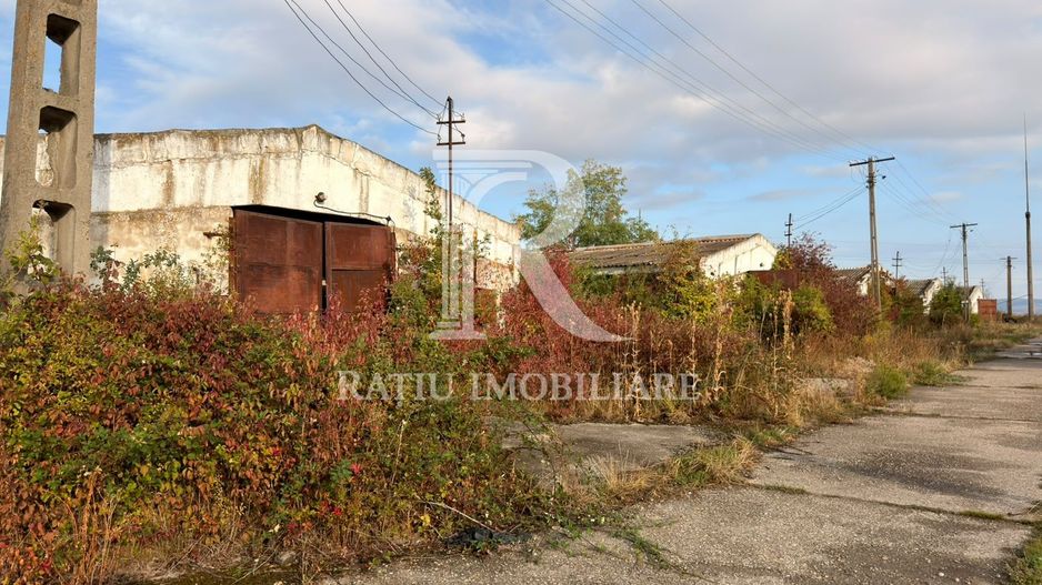 Fermă Sărand | Bihor | 25.659 mp teren intravilan - Poză 13