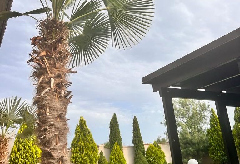 Casa individuala Dumbravita - Poză 5