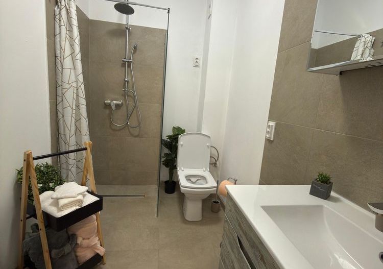 Garsoniera de inchiriat zona Damila Ford - Poză 4