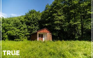 Teren intravilan 2.800 m² în Câmpu Cetății – liniște și natură - Poză 7