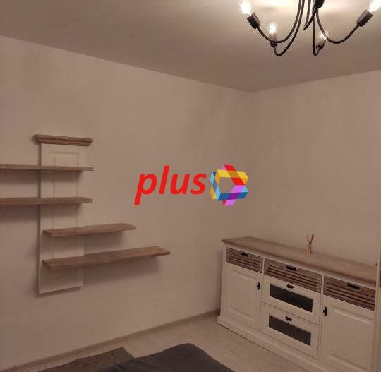 Proprietar - casa 5 camere singur in curte zona Brasovechi Crisan - Poză 6