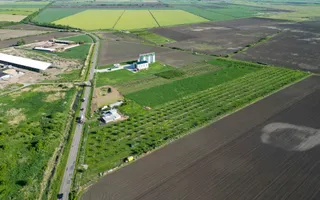 Livadă de nuci și pruni 2.4ha în Variașul Mare - Poză 12