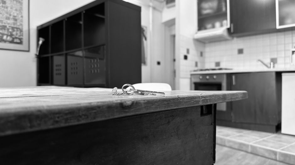 Oferta Inchiriata - Apartament 2 camere | Medicina - Hotel Continental - Poză 28