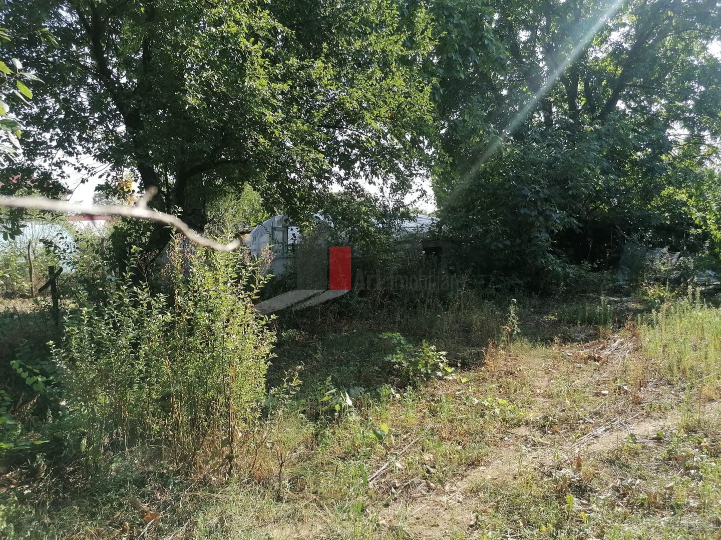 Afumati- Ilfov - 899mp-Teren - ZERO Comision Cumparator - Poză 10