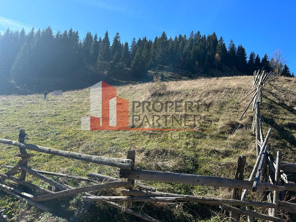 Teren Fundatica intravilan 4500 mp - Poză 11