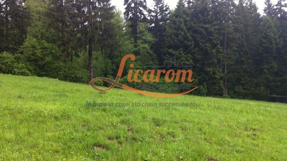 Teren intravilan Cotul Donului,pretabil Hotel/pensiune. - Poză 1