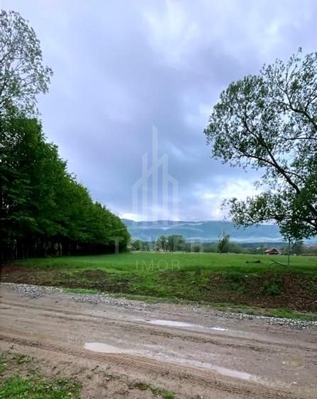 Teren intravilan in cartier Tocile comuna Sadu jud. Sibiu - Poză 9