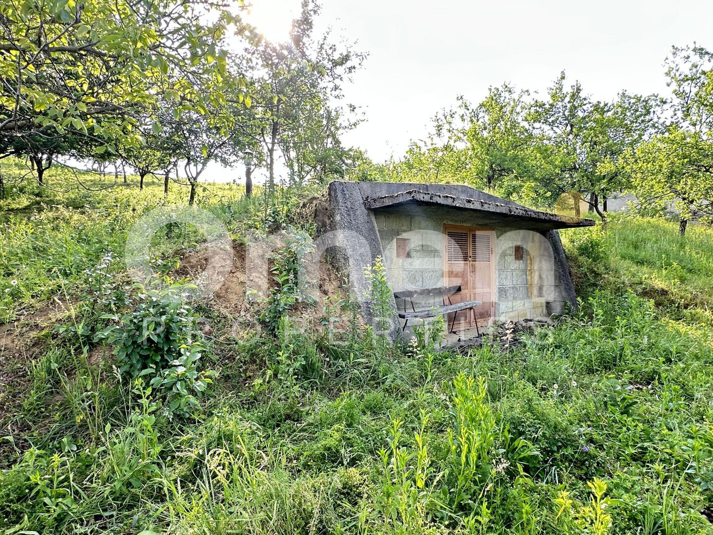 Casa de vanzare Viile Apei - Poză 9