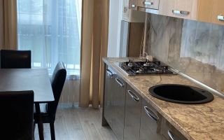 Apartament 1 camera de inchiriat, Valea Lupului, complex rezidential nou - Poză 4