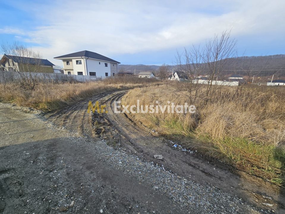 Teren 1.250 mp, toate utilitatile – Bascov, Valea Ursului, AG - Poză 4
