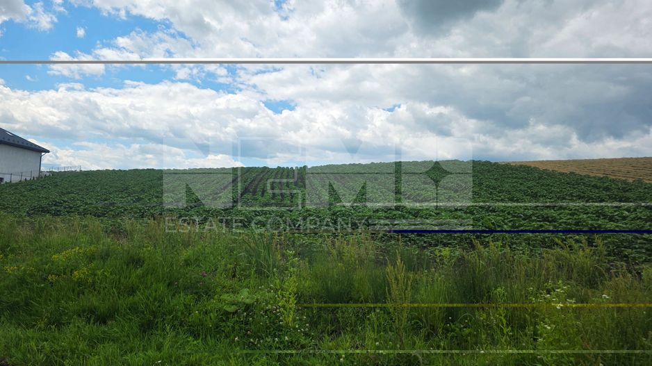 TEREN INTRAVILAN | MOARA NICA, SUCEAVA | 115.000€ - Poză 4