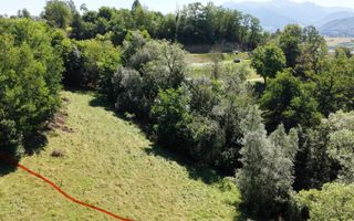 TEREN DE VÂNZARE – ZĂRNEȘTI 2200 Mp - Poză 1