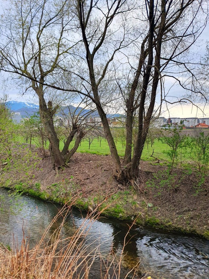 Apartament spațios, luminos și pet-friendly – 2 camere, Bartolomeu, Brașov - Poză 19