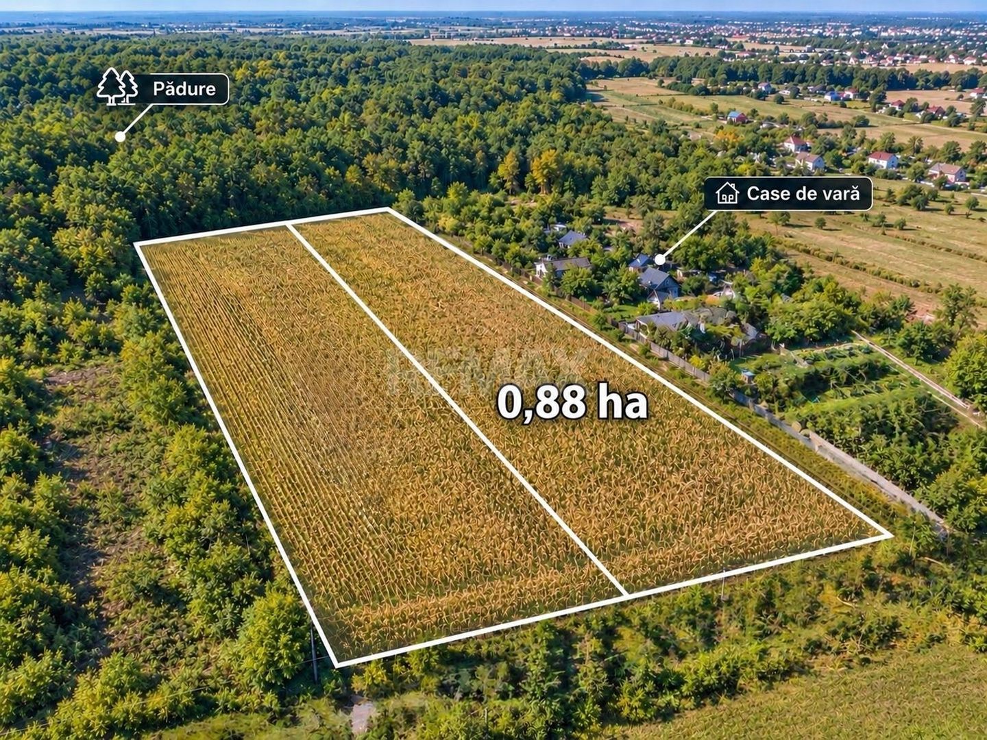 88 Ari Agricol or.Ialoveni - Poză 1