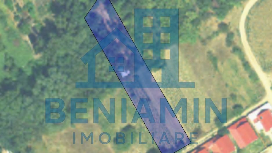 Teren Intravilan doua deschideri-3526mp-Malu Mare-parcelabil-asfalt - Poză 2