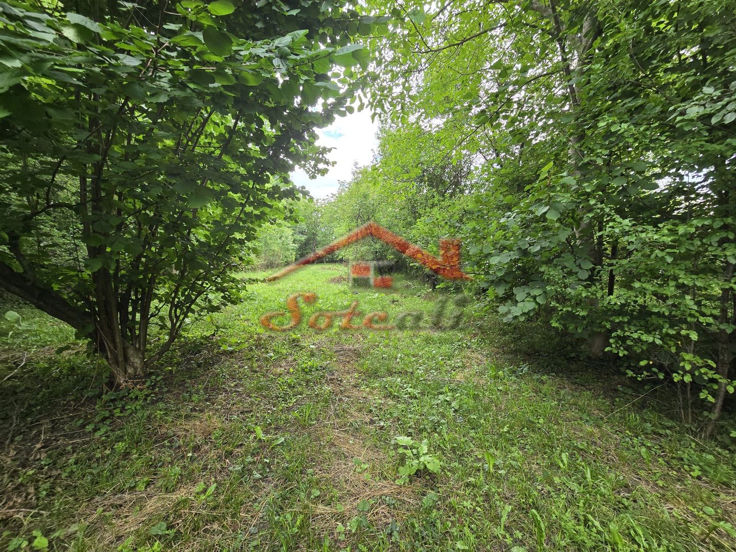 Teren intravilan de vânzare în Cornu de Sus – 1.363 mp fara inclinatie - Poză 2