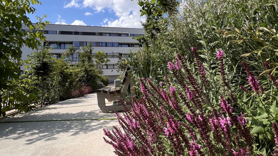 APARTAMENT 4 CAMERE | PROIECT NOU | PISCINA IN COMPLEX - Poză 13