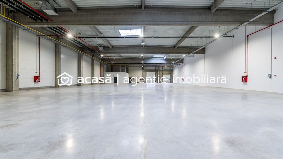 1202 mp - Hala industriala de inchiriat in Parc Industrial Arad - Poză 3